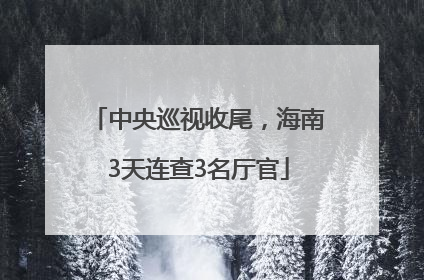 中央巡视收尾，海南3天连查3名厅官
